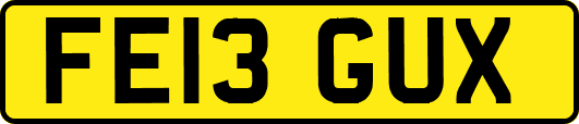 FE13GUX