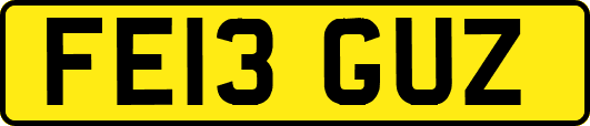 FE13GUZ