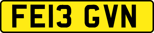 FE13GVN