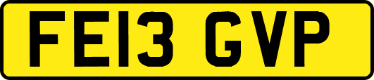 FE13GVP