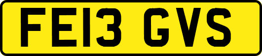 FE13GVS