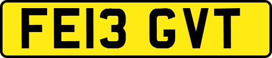 FE13GVT
