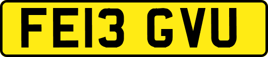 FE13GVU