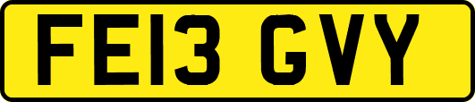 FE13GVY