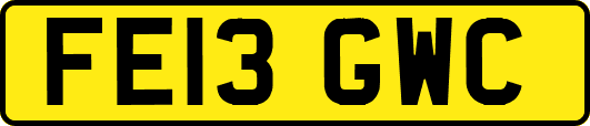 FE13GWC