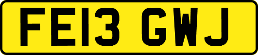 FE13GWJ