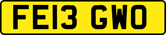 FE13GWO