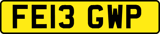FE13GWP