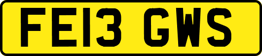 FE13GWS