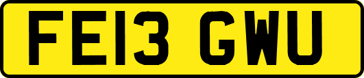 FE13GWU