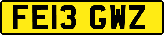 FE13GWZ