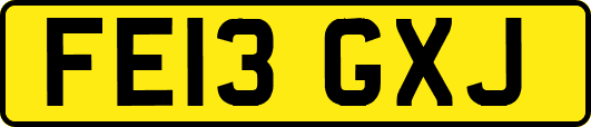 FE13GXJ