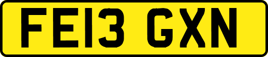 FE13GXN