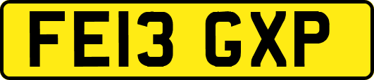 FE13GXP