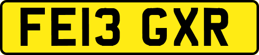 FE13GXR