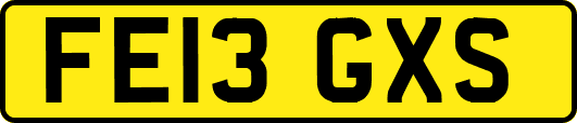 FE13GXS