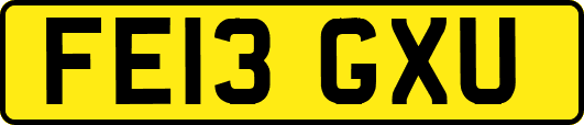 FE13GXU