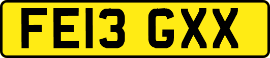 FE13GXX