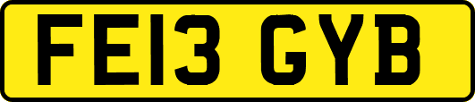 FE13GYB