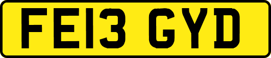 FE13GYD