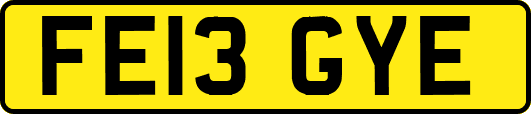 FE13GYE