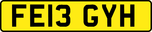 FE13GYH