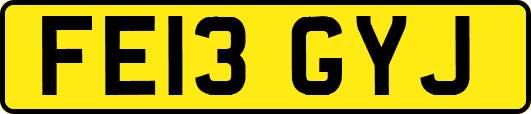 FE13GYJ
