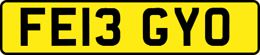 FE13GYO