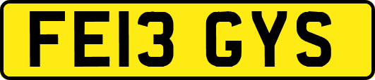 FE13GYS