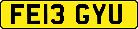 FE13GYU