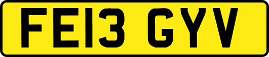 FE13GYV