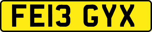 FE13GYX