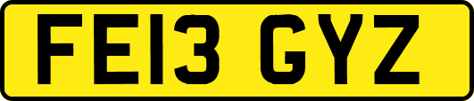 FE13GYZ