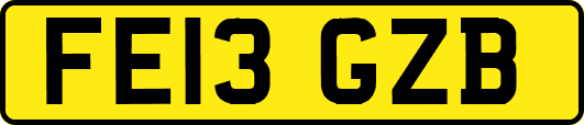FE13GZB