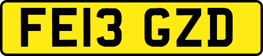 FE13GZD
