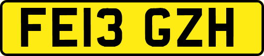 FE13GZH