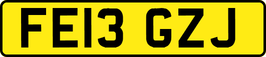 FE13GZJ