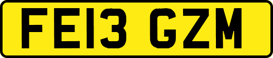 FE13GZM