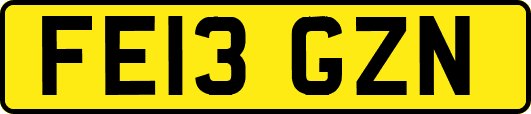 FE13GZN