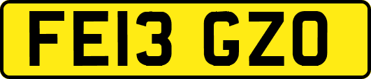 FE13GZO