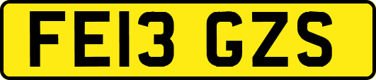 FE13GZS