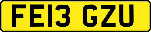 FE13GZU