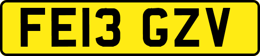 FE13GZV