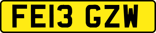FE13GZW