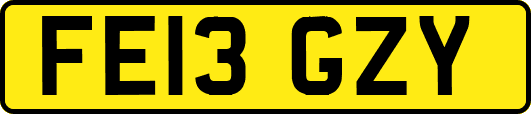 FE13GZY