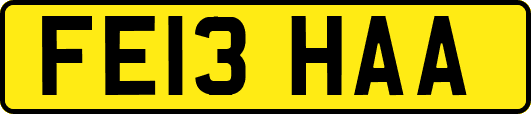 FE13HAA