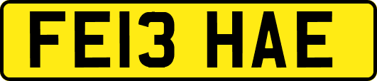 FE13HAE