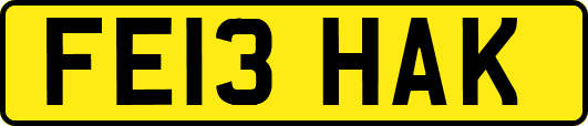 FE13HAK