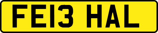 FE13HAL
