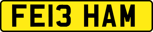 FE13HAM